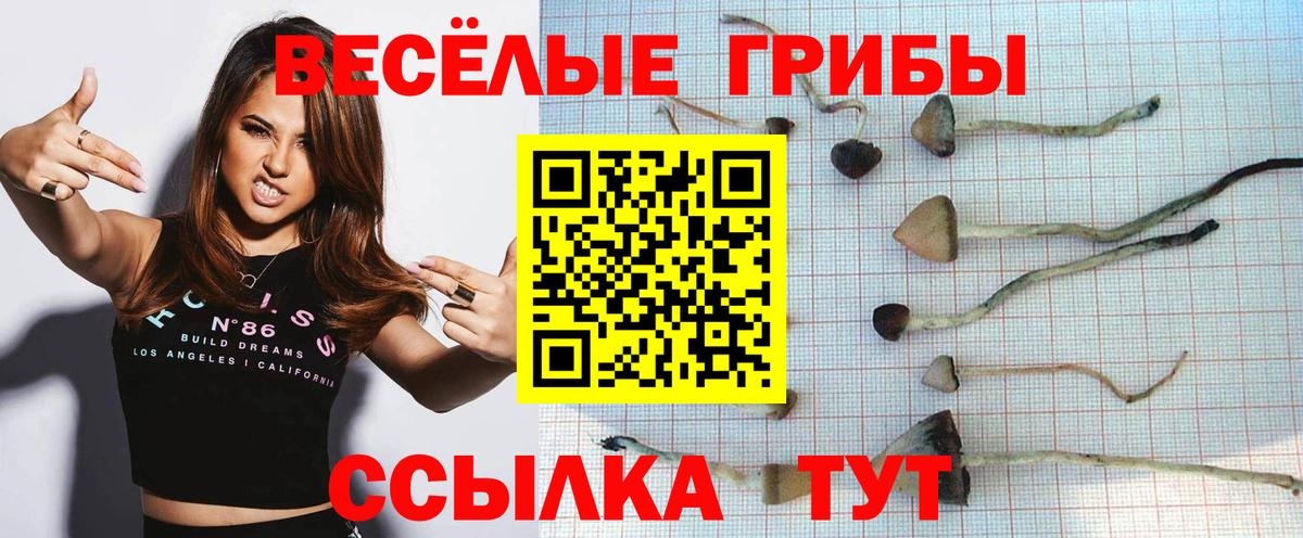 Златоуст  Галлюциногенные грибы мухоморы  Вход с VPN 
